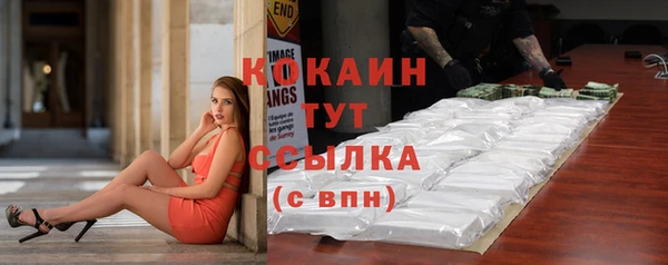 шишки Абаза