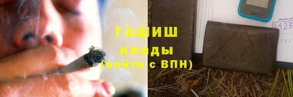 шишки Абаза