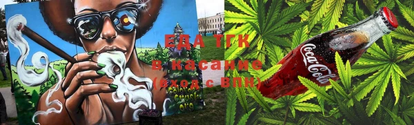 шишки Абаза