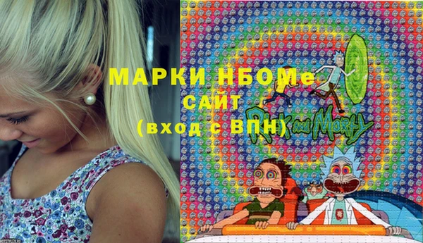 шишки Абаза
