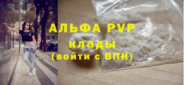 шишки Абаза